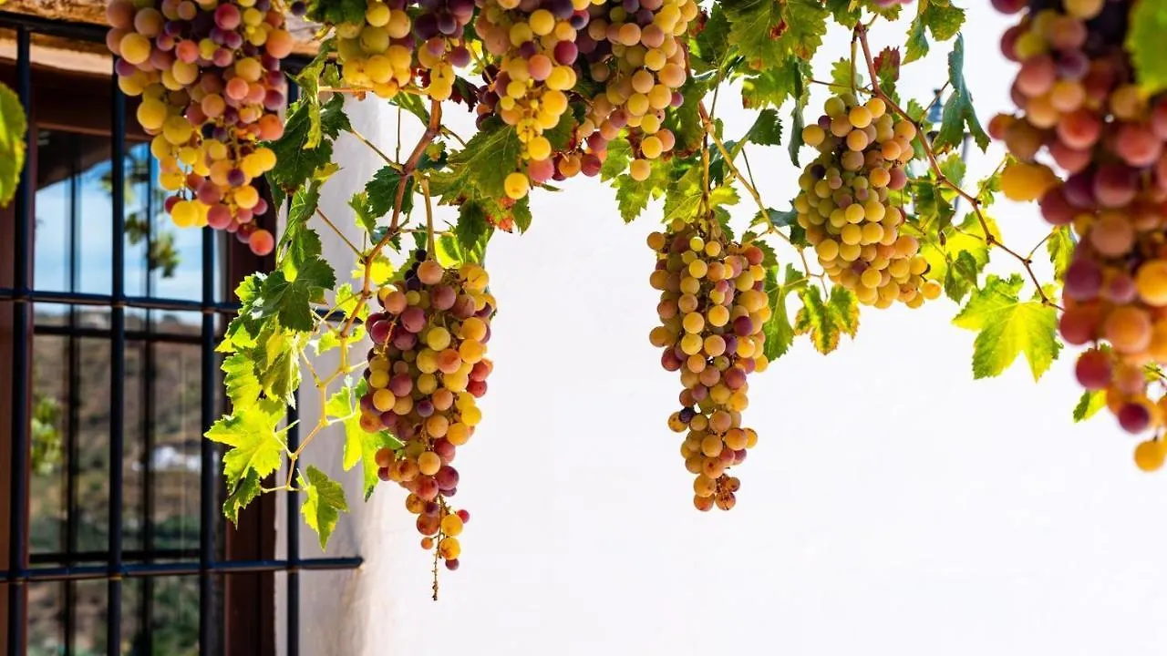 Cortijo Maravilla Frigiliana By Ruralidays Spain