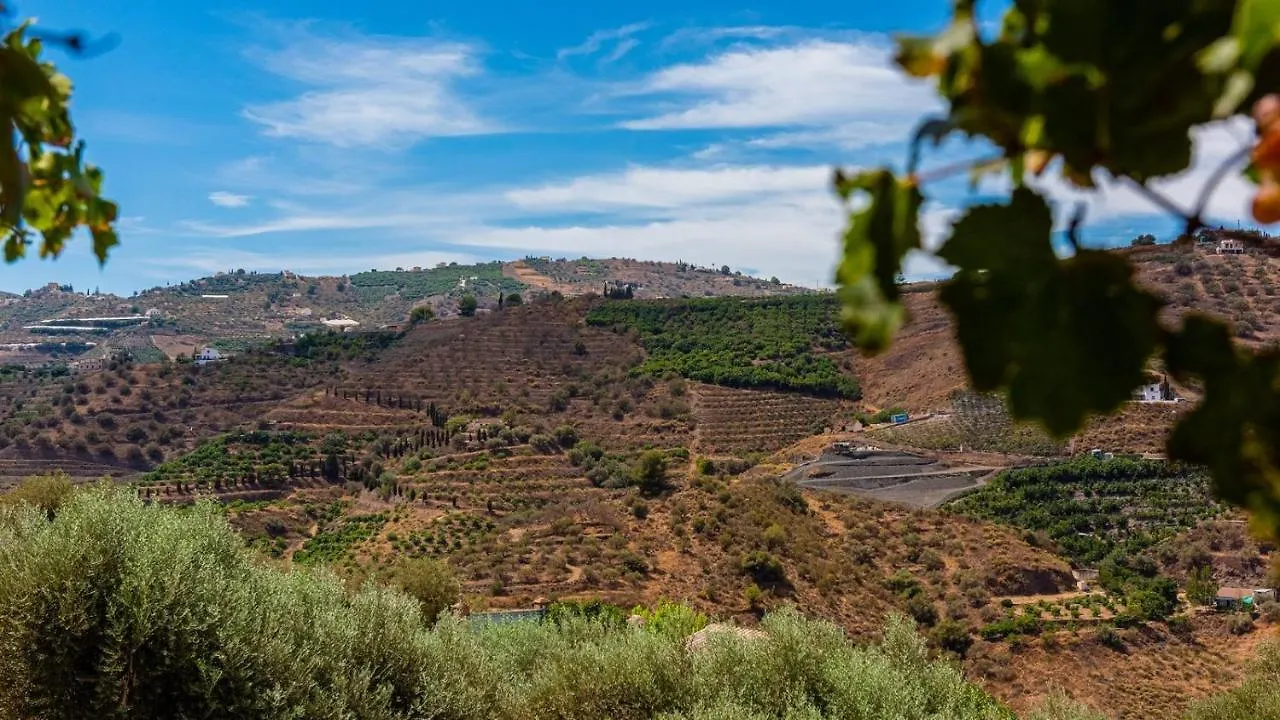 Cortijo Maravilla Frigiliana By Ruralidays Holiday home